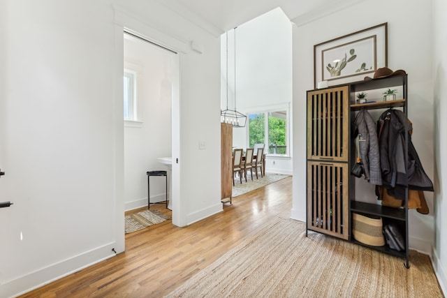 corridor with light hardwood / wood-style flooring