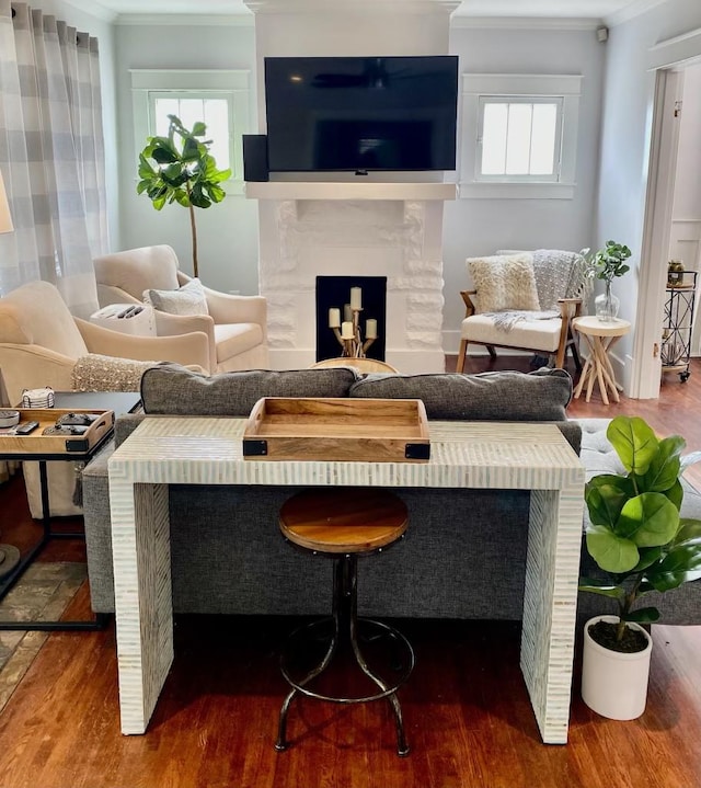 living area featuring wood finished floors, a fireplace, and crown molding