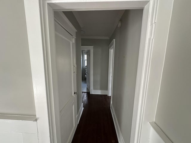 hallway with baseboards, dark wood-style flooring, and crown molding