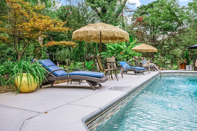 pool with a patio area