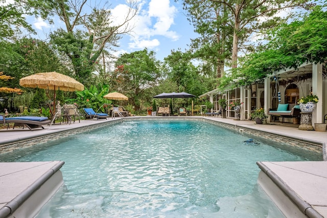 outdoor pool featuring a patio area