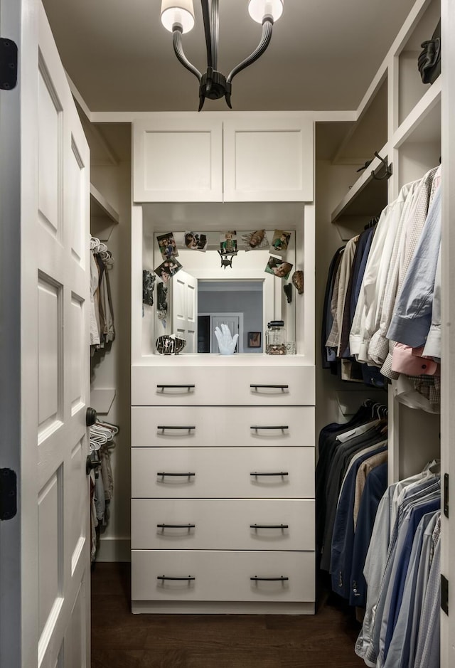 walk in closet with dark wood-style floors