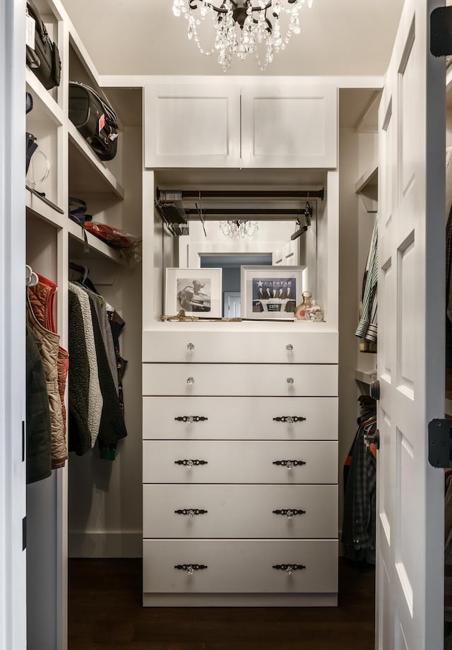 spacious closet featuring dark wood finished floors