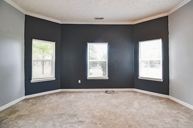 carpeted empty room featuring ornamental molding and a textured ceiling