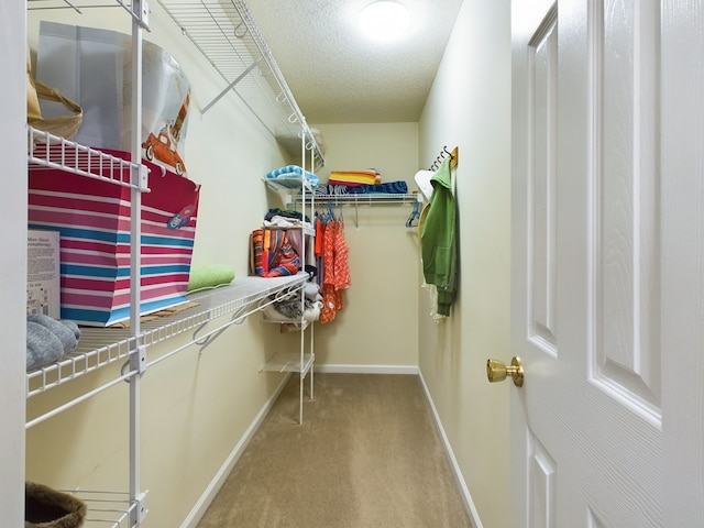 walk in closet featuring carpet floors