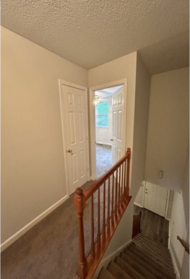 stairway with carpet and a textured ceiling