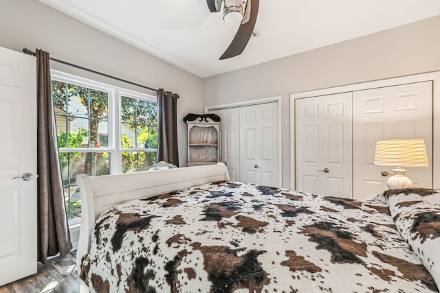 bedroom featuring ceiling fan, two closets, and hardwood / wood-style flooring