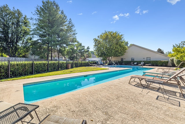 view of swimming pool featuring a patio area