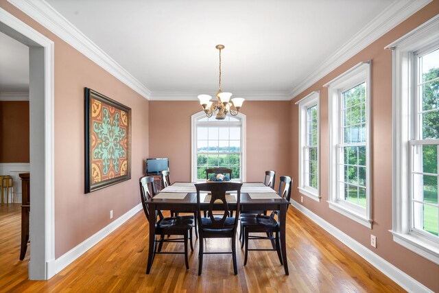 dining area with crown molding, light hardwood / wood-style flooring, and a wealth of natural light