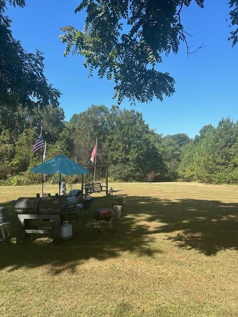 exterior space with a lawn and a forest view