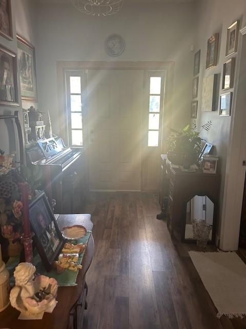 kitchen featuring plenty of natural light and dark wood finished floors