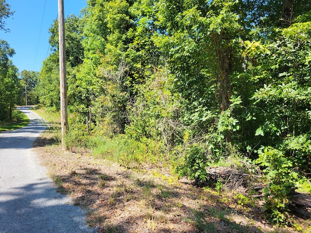 0 Red Ash Rd, Sugar Tree TN, 38380 land for sale