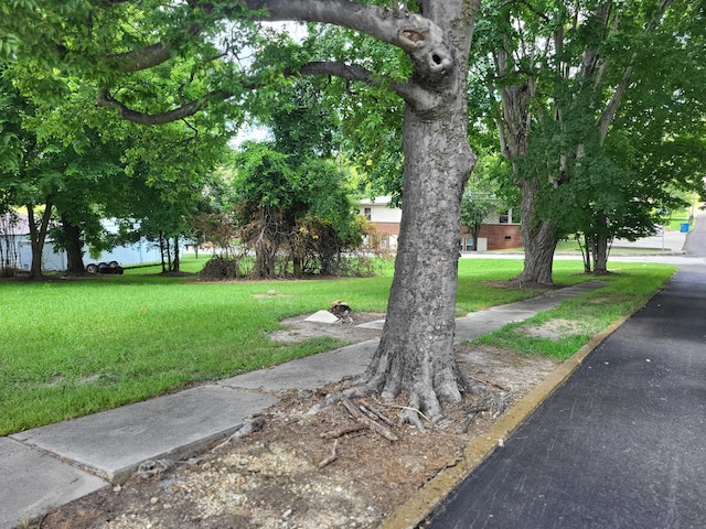 0 Maple St, Camden, TN 38320 - photo 2