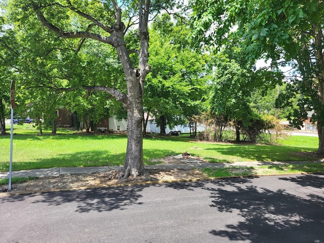 0 Maple St, Camden, TN 38320 - photo 9