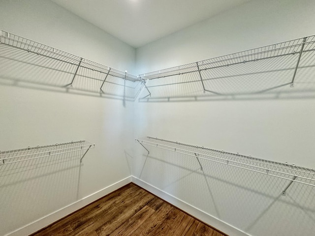 spacious closet featuring hardwood / wood-style floors