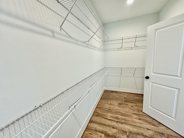 spacious closet featuring wood-type flooring