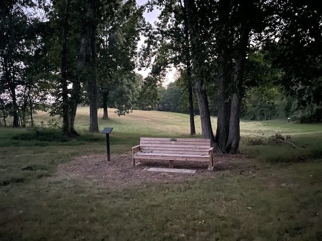 view of property's community with a yard