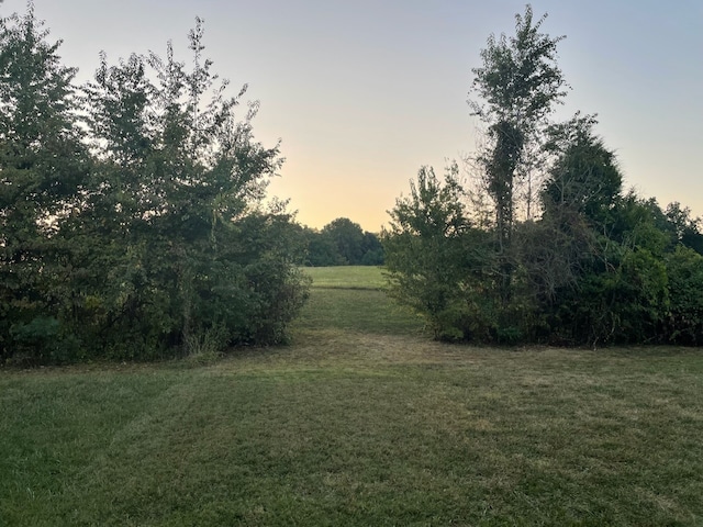 view of yard at dusk