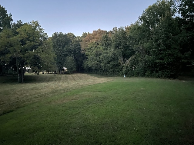 view of community featuring a yard