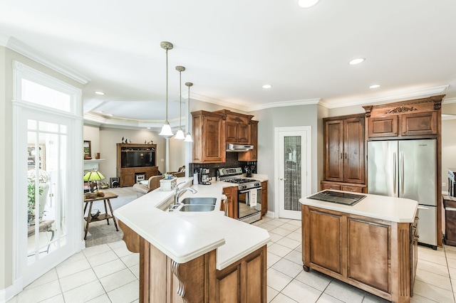 kitchen with appliances with stainless steel finishes, crown molding, hanging light fixtures, kitchen peninsula, and sink