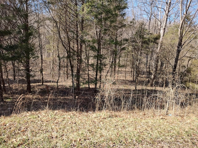 3712 Budds Creek Rd, Palmyra TN, 37142 land for sale