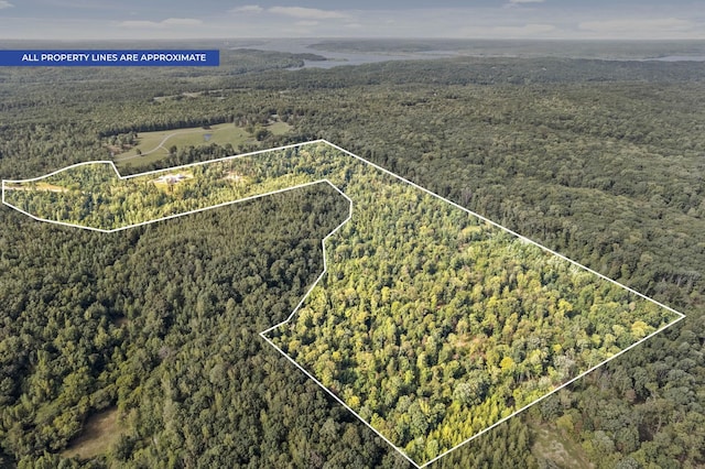 aerial view with a forest view