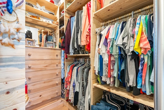 view of walk in closet