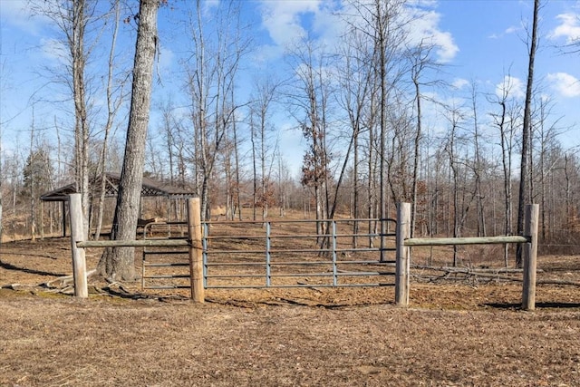 view of yard with a gate and a rural view