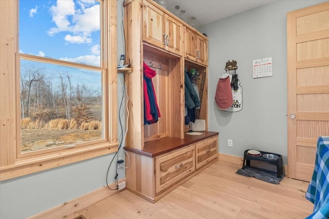 mudroom with a wealth of natural light and light wood-style flooring