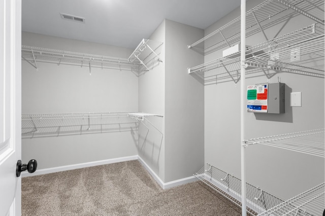 spacious closet featuring visible vents and carpet flooring