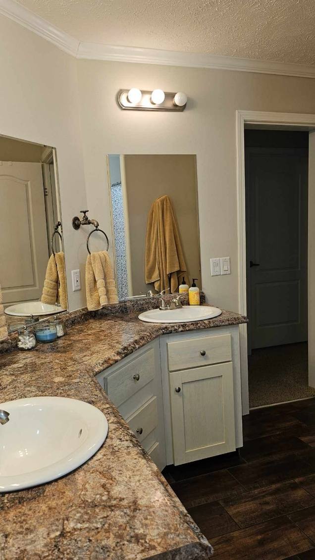 bathroom with wood-type flooring, ornamental molding, a textured ceiling, and vanity