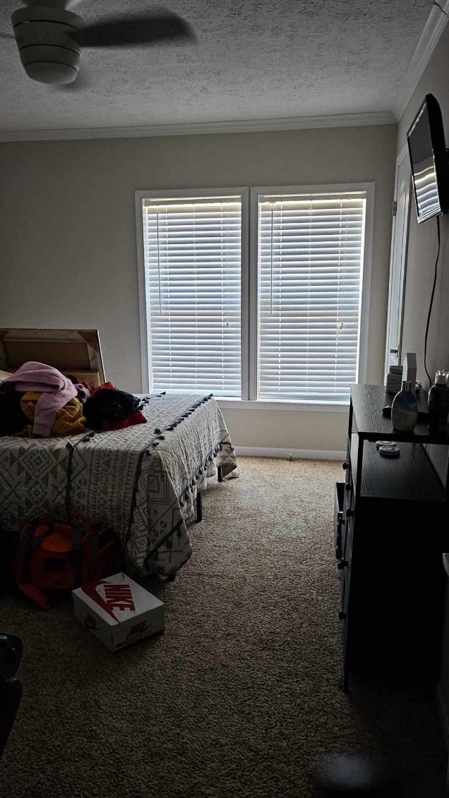 carpeted bedroom with a textured ceiling, crown molding, ceiling fan, and multiple windows