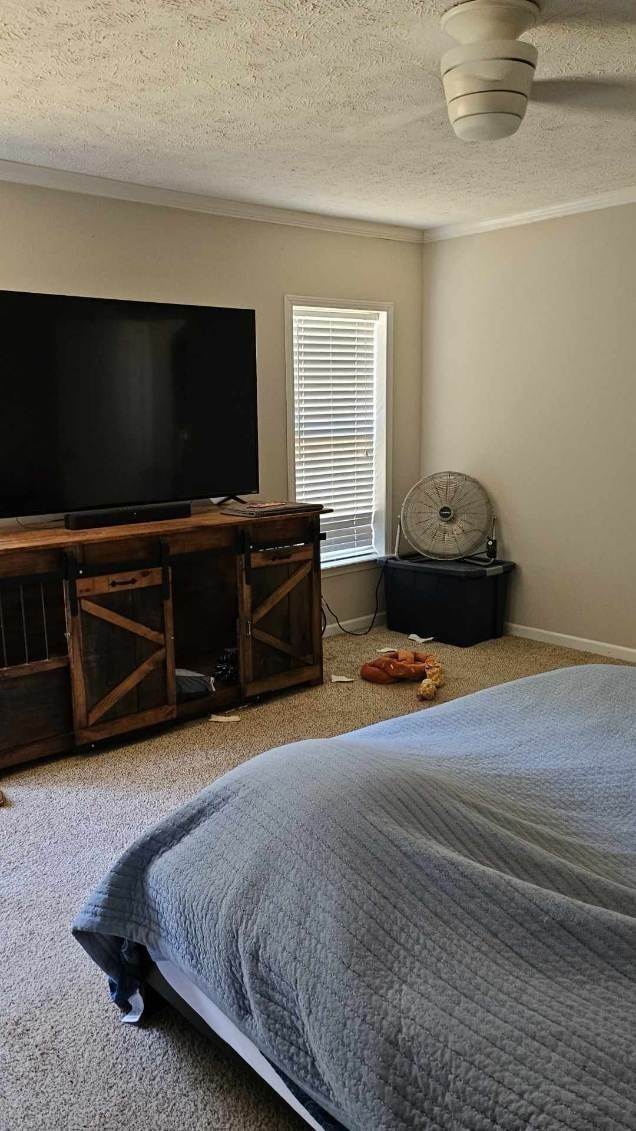 bedroom featuring a textured ceiling and carpet