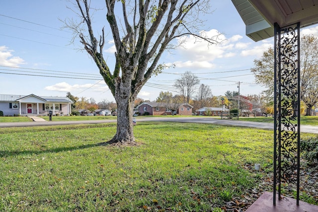 118 Van Buren St, Mcminnville, TN 37110 - view of grassy yard