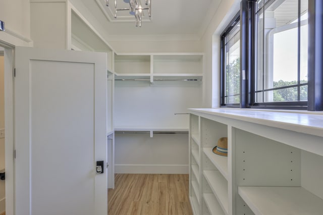 spacious closet featuring light hardwood / wood-style flooring and an inviting chandelier