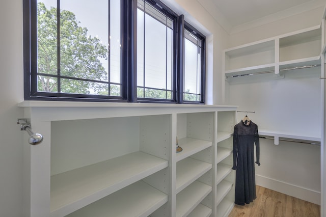 walk in closet with light hardwood / wood-style floors