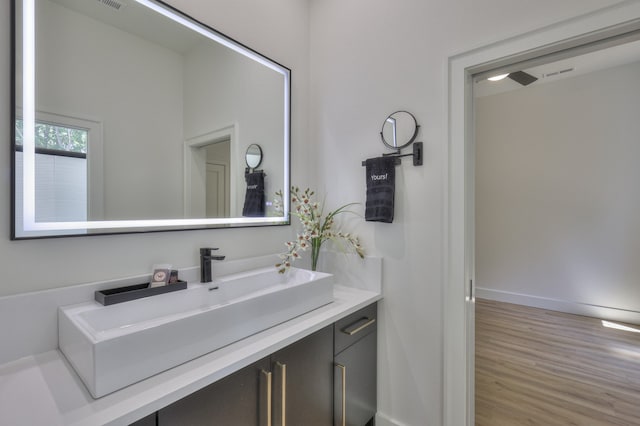 bathroom featuring wood-type flooring and vanity