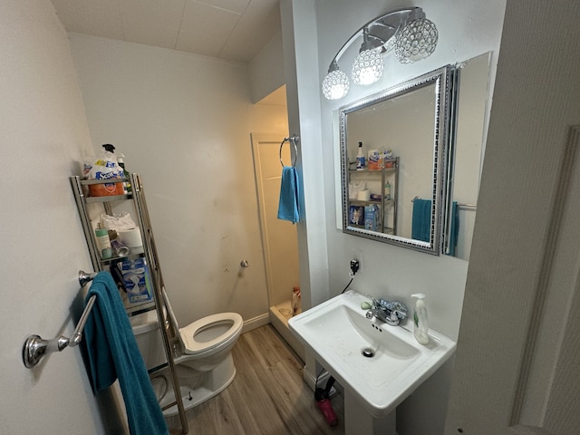 bathroom with hardwood / wood-style floors and toilet