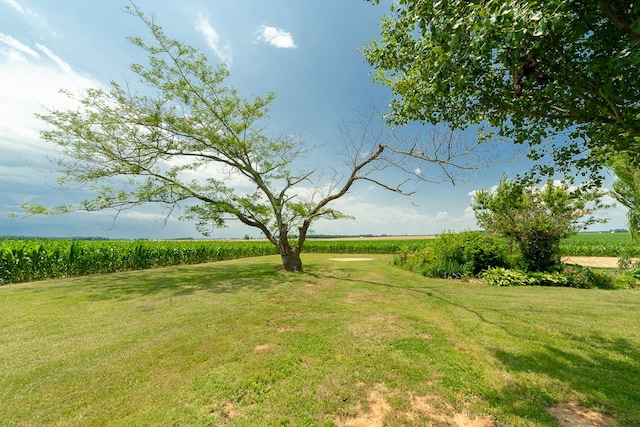 view of yard with a rural view