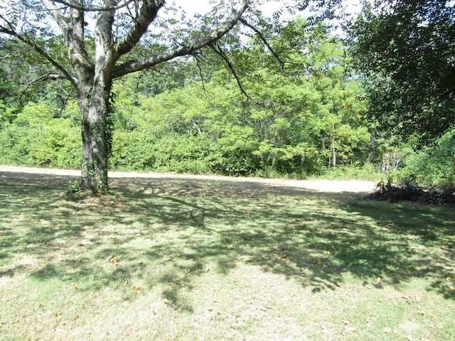 view of yard featuring a wooded view