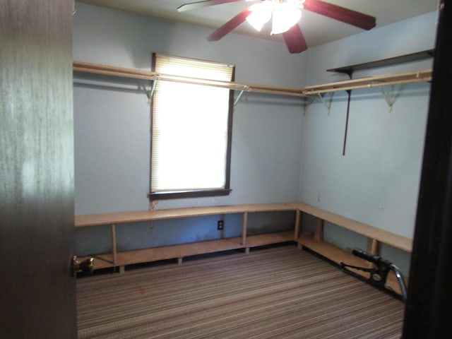 spacious closet with carpet floors and ceiling fan