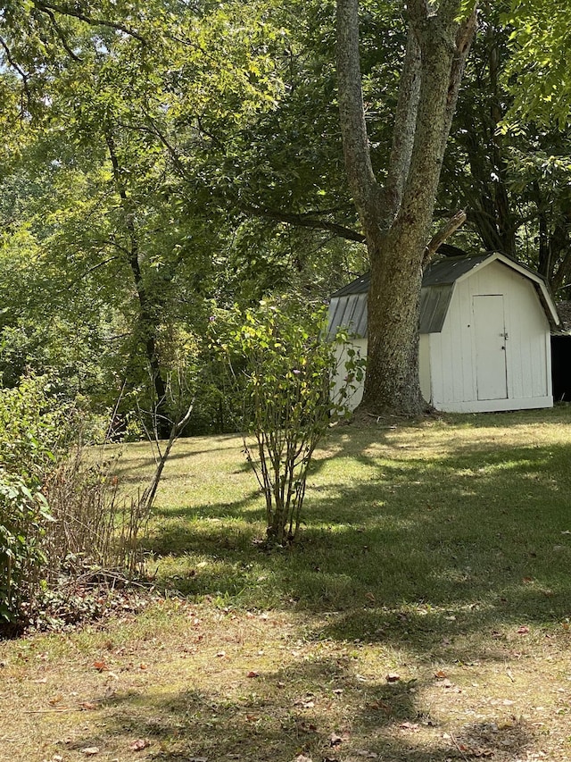 view of yard featuring an outbuilding and a storage unit