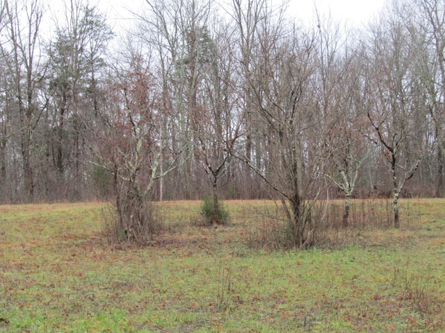 171 Sheep Ranch Rd, Altamont, TN 37301 - photo 45