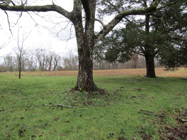 view of yard with a rural view