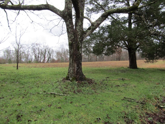 171 Sheep Ranch Rd, Altamont, TN 37301 - photo 44