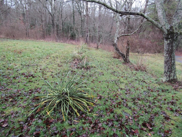 171 Sheep Ranch Rd, Altamont, TN 37301 - photo 48