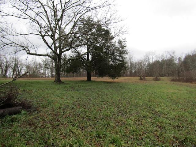 171 Sheep Ranch Rd, Altamont, TN 37301 - photo 47