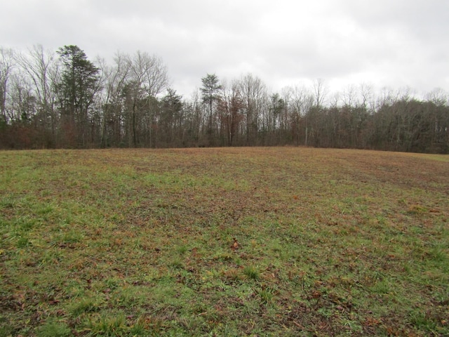 171 Sheep Ranch Rd, Altamont, TN 37301 - photo 42