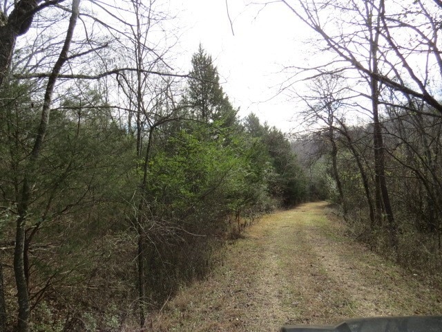 958 Dollar Hollow Rd, Pulaski TN, 38478 land for sale