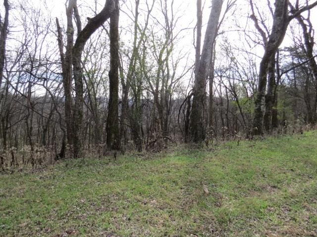 958 Dollar Hollow Rd, Pulaski, TN 38478